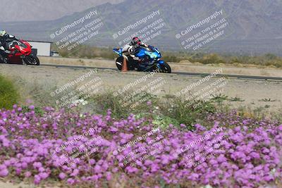 media/Feb-04-2023-SoCal Trackdays (Sat) [[8a776bf2c3]]/Turn 15 Inside Blooming (1050am)/